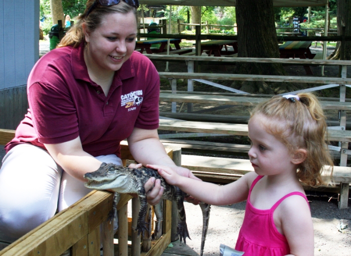 Petting the Alligator